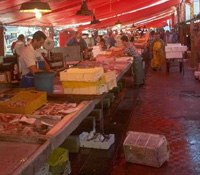 il mercato di pesce al minuto