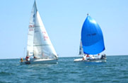 Sailing school and boat rental